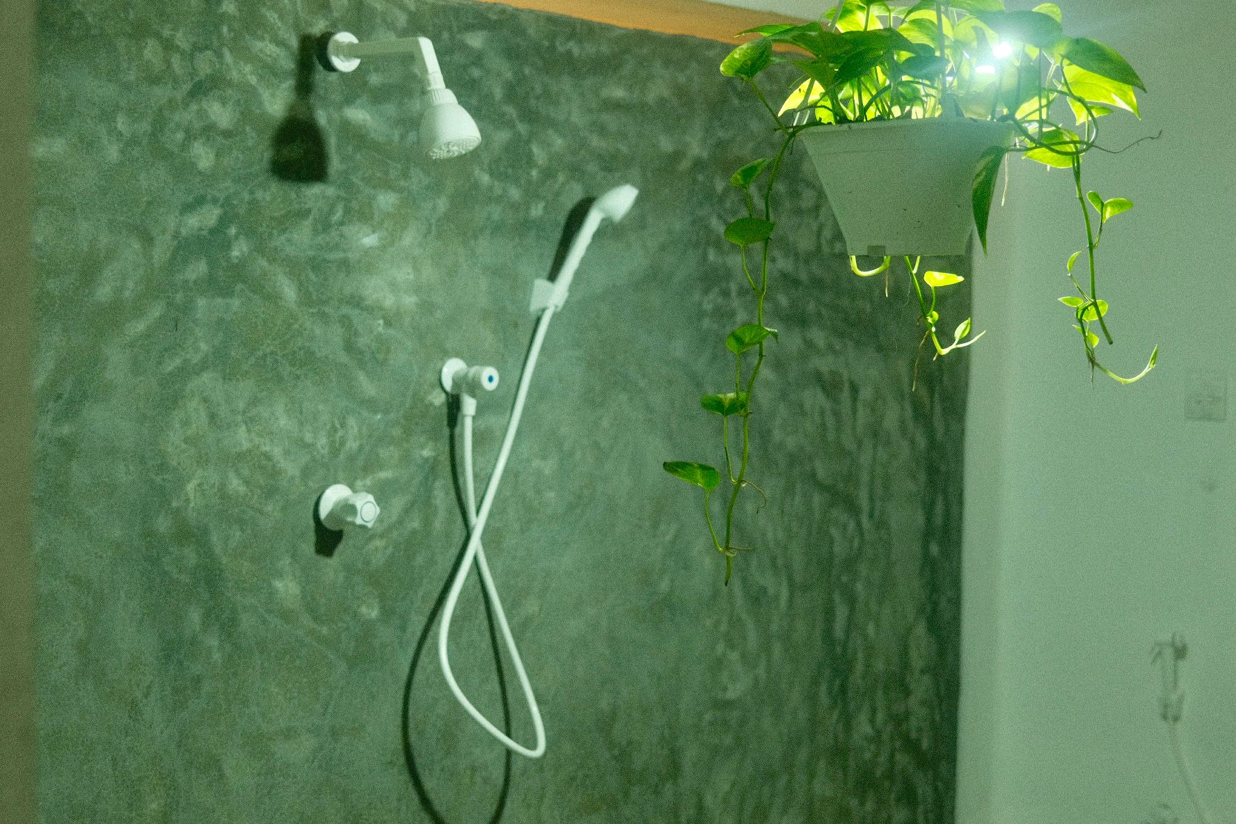 img 20250204 wa0005[1]